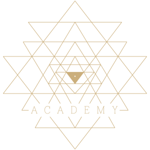 Selbstentdeckung Academy Logo